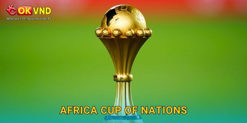 Africa Cup of Nations rực lửa cùng lựa chọn OKVND uy tín 13 Africa Cup of Nations rực lửa cùng lựa chọn OKVND uy tín