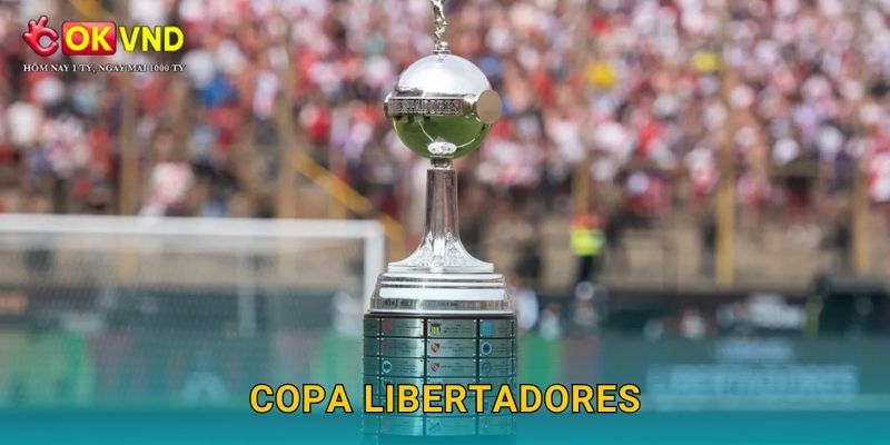 Copa Libertadores nảy lửa cùng trải nghiệm tại OKVND