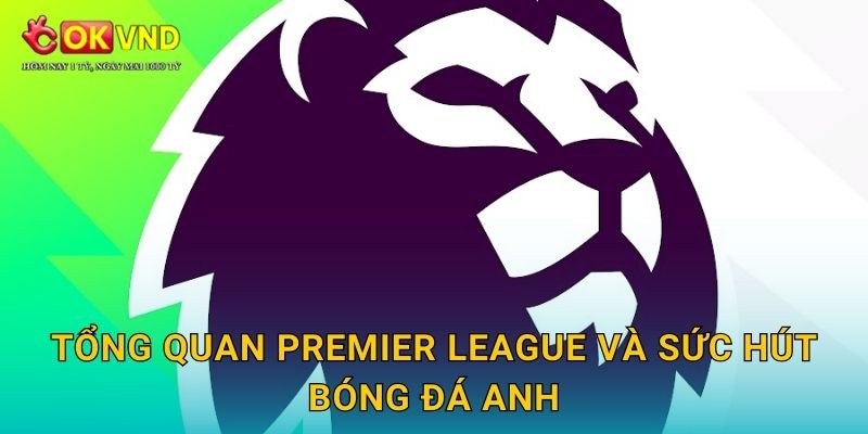 Tổng quan Premier League và sức hút bóng đá Anh